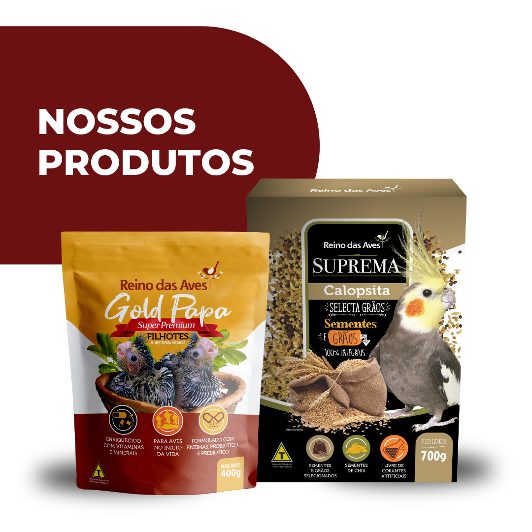 Imagem de capa do card