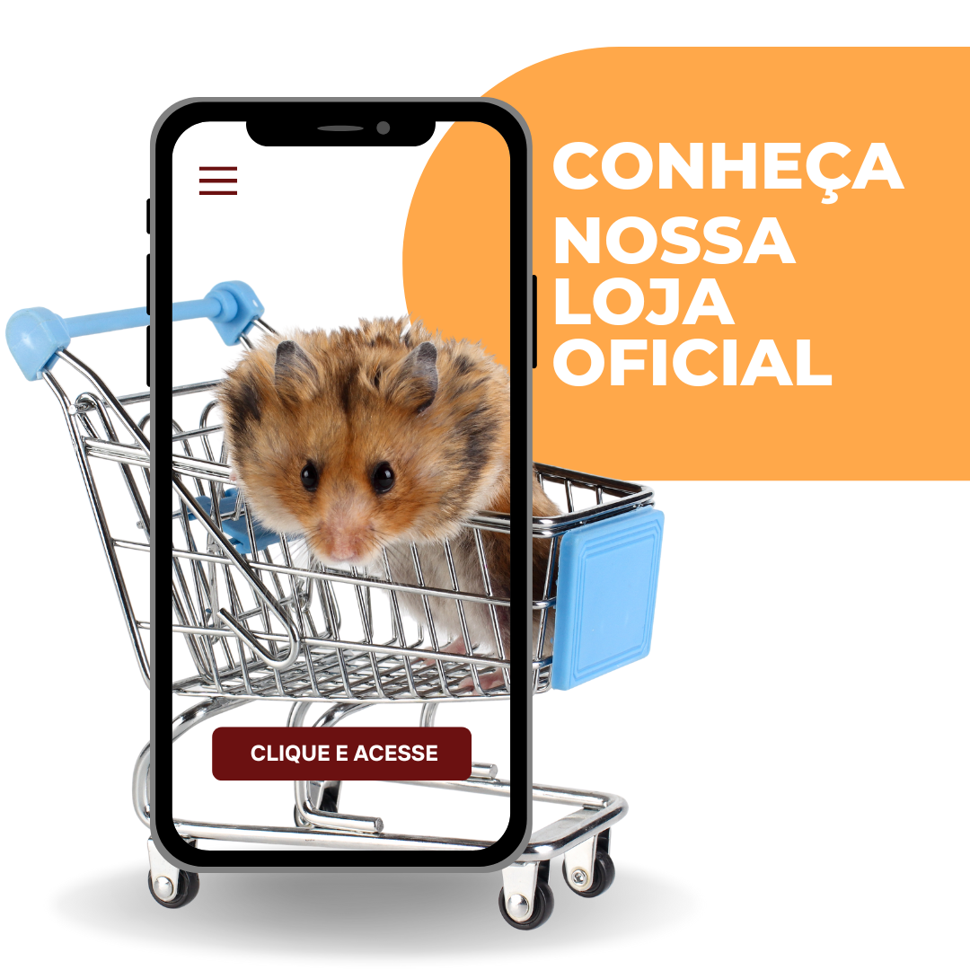 Imagem de capa do card